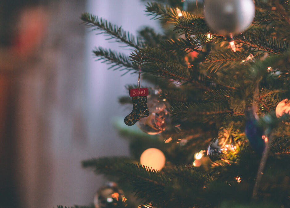 Farmers Union Blog _water your christmas tree - A Guide to Water