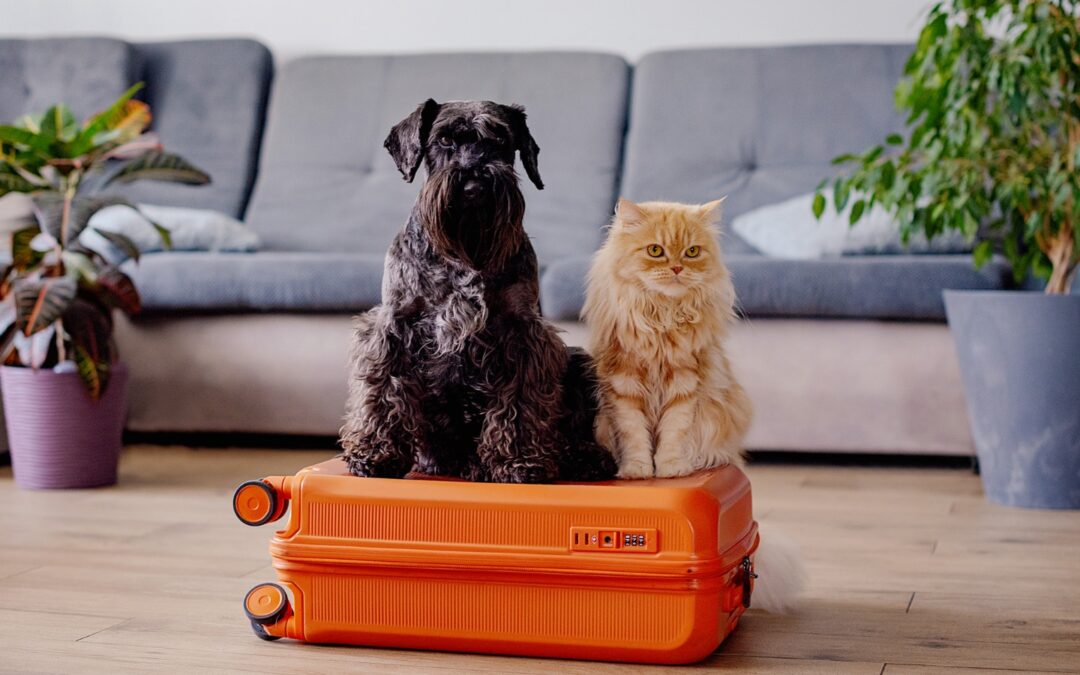 Pet Safety
