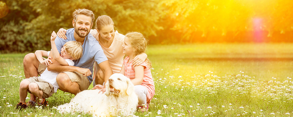 A family of four sitting on grass in a sunlit field, with a large white dog lying in front of them.